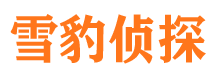 泾阳侦探